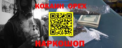 крисы Кунгур
