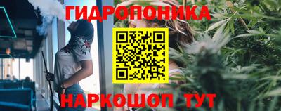 соль ск Кулебаки