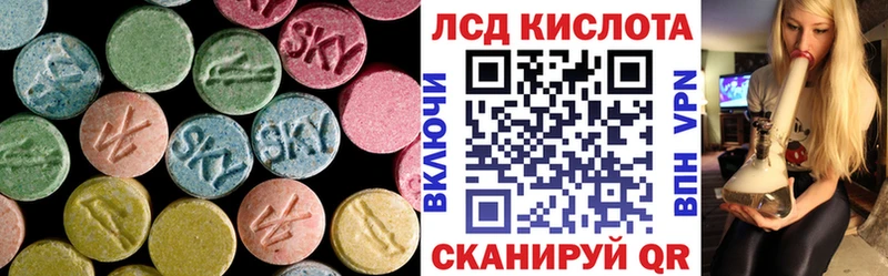 darknet телеграм  Волхов  ЛСД экстази ecstasy 