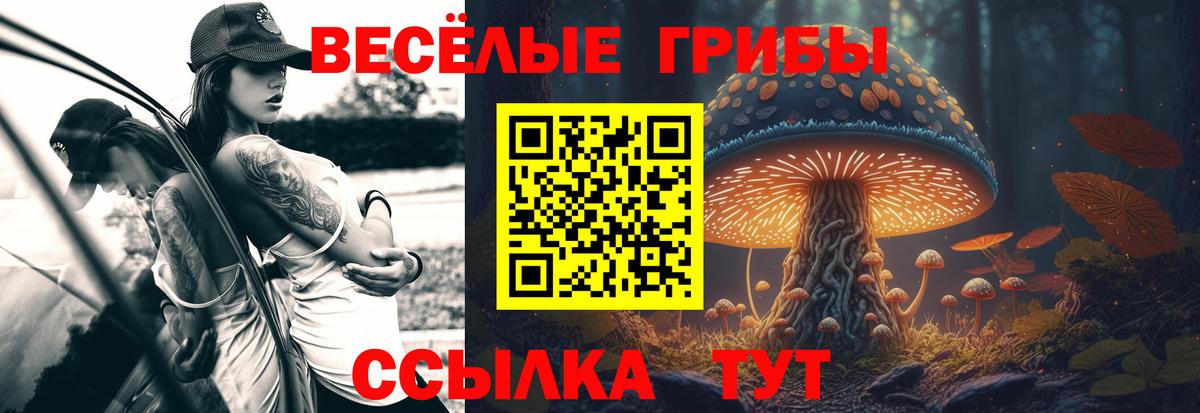 Псилоцибиновые грибы Psilocybe  Вход с VPN  Волхов 