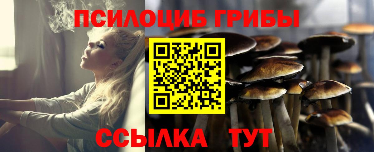 Галлюциногенные грибы мухоморы Волхов