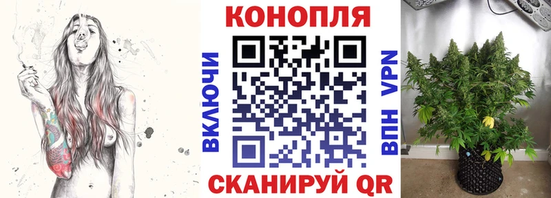 это Telegram  Волхов  Бошки марихуана Amnesia  где купить   блэк спрут как войти 